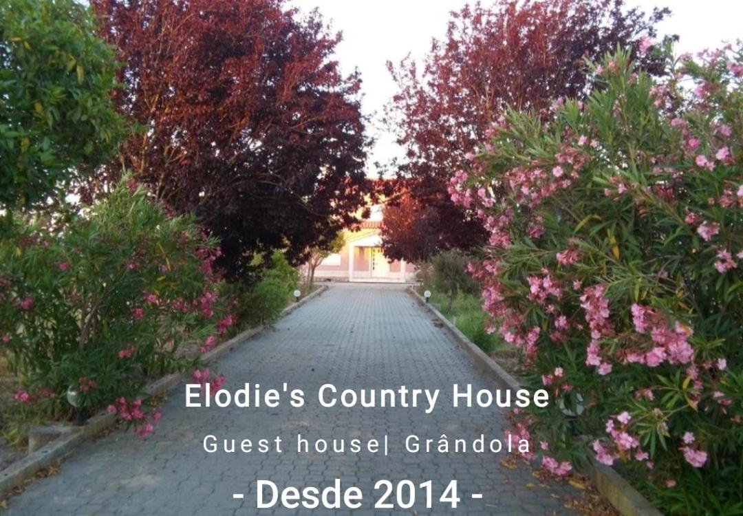 Elodie'S Country House - Alojamento Local Hotel Grandola Bagian luar foto